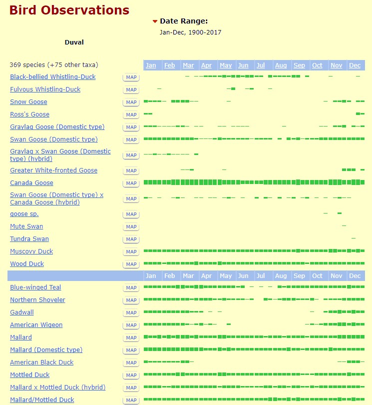 
Duval county bird observations