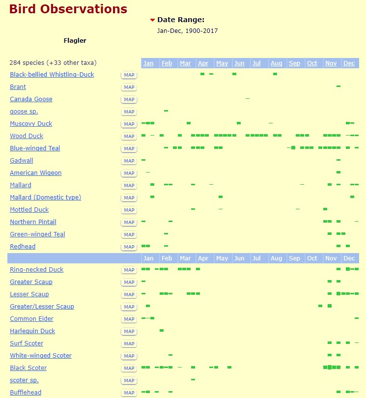 
Flagler county bird observations