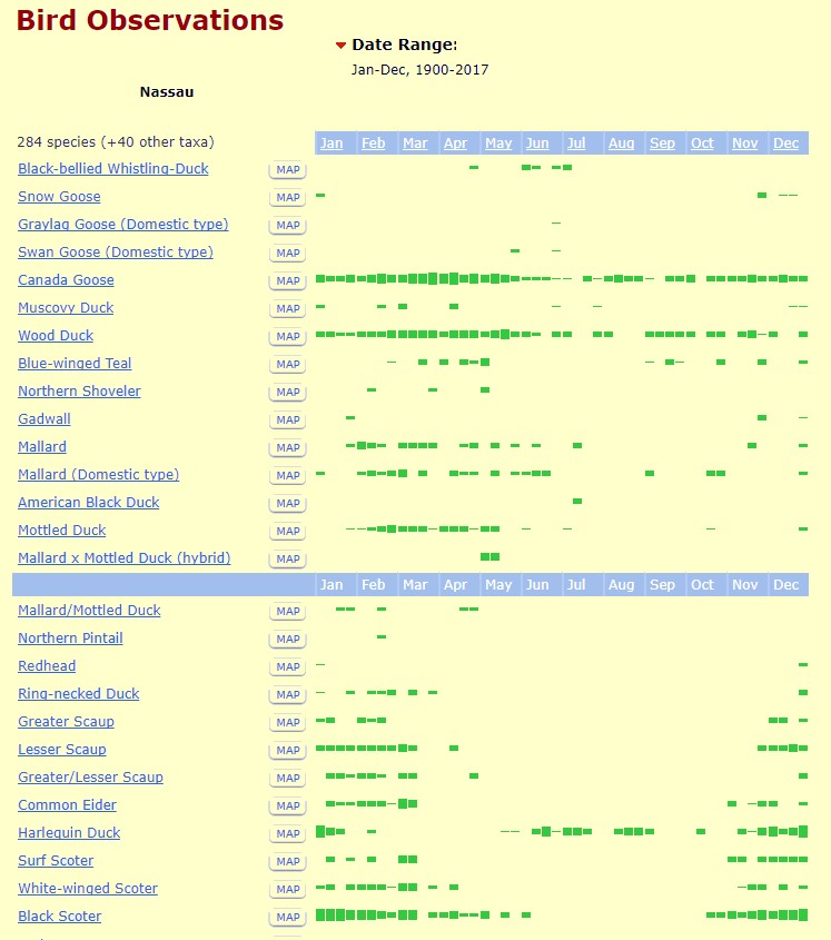 Nassau county bird observations