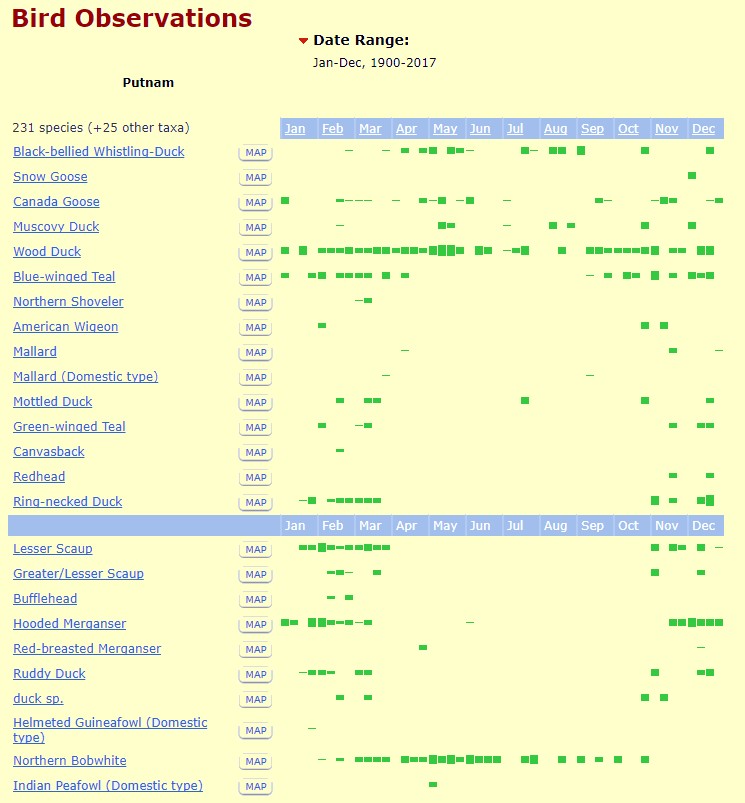 Putnam county bird observations