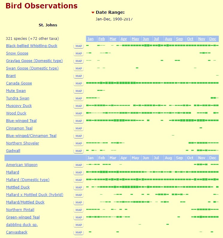 St. Johns county bird observations